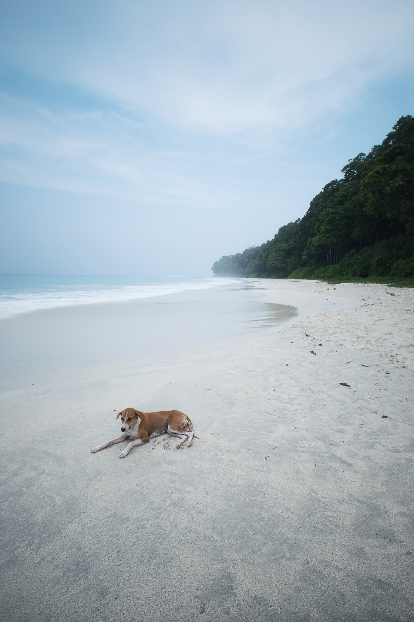 Coastal Calm — Coastal print