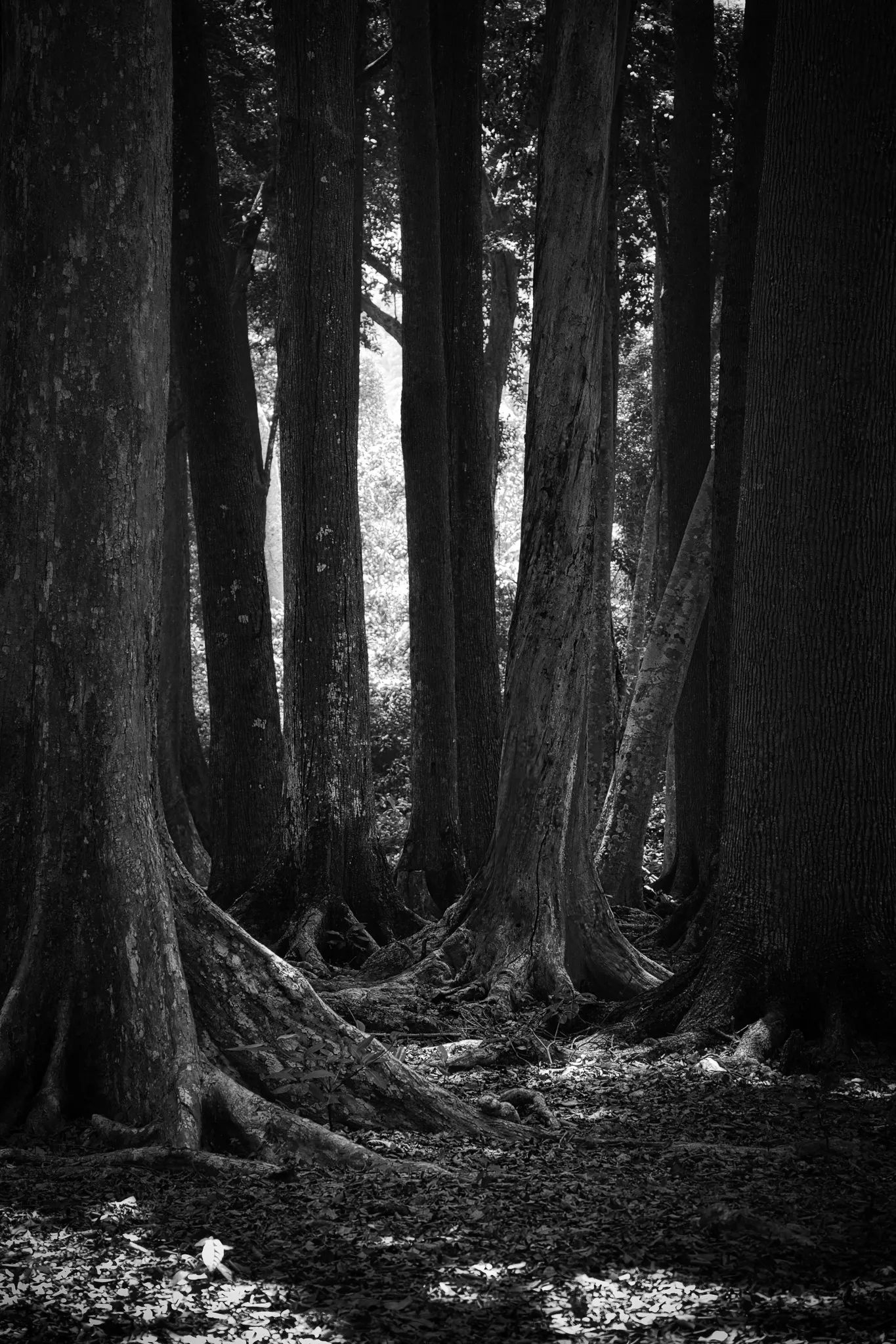 Ethereal water scene