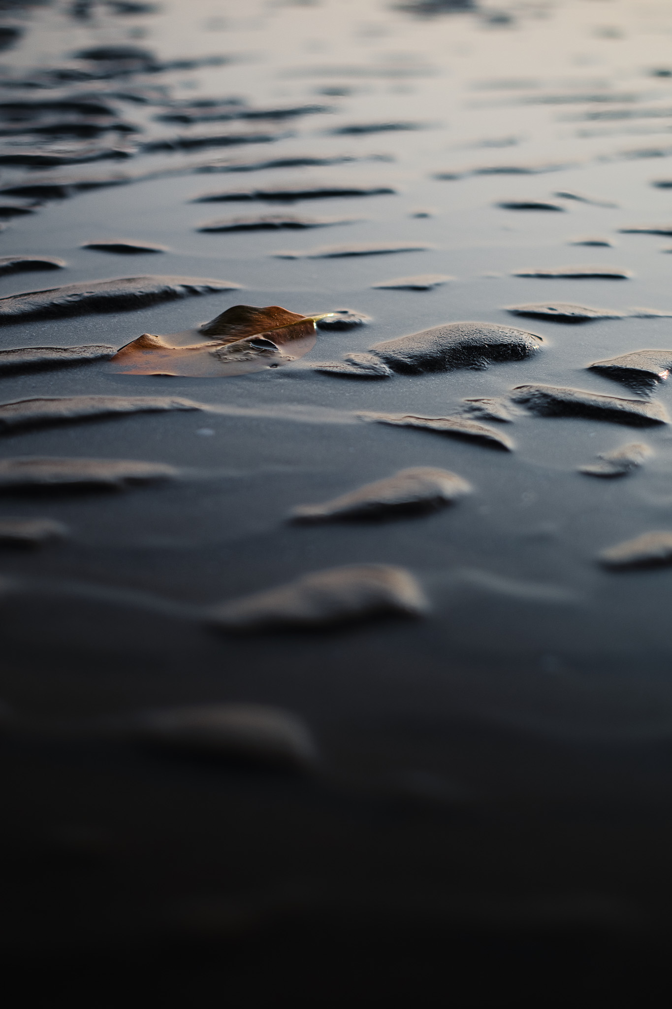 Rocky Shores — Coastal print