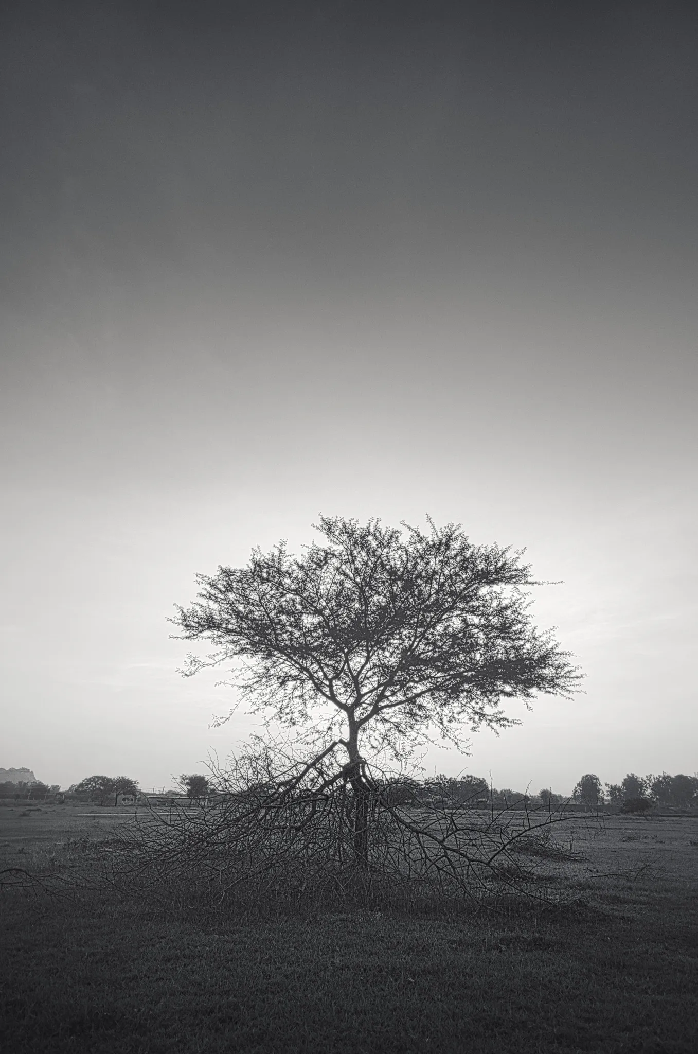 Speedboat in Venice lagoon