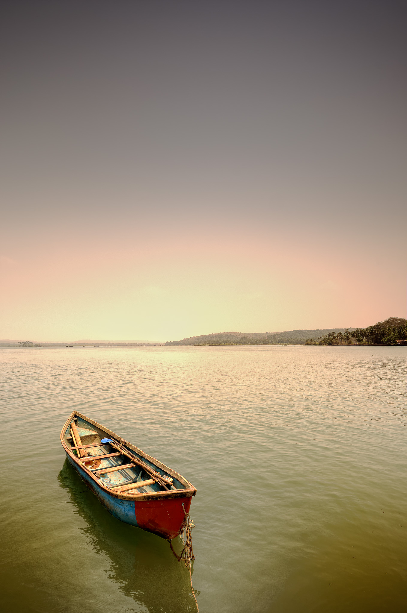 Tropical Waters — Coastal print