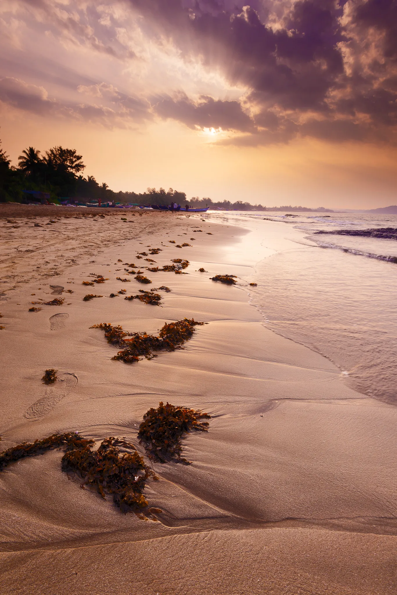 Beach at golden sunset