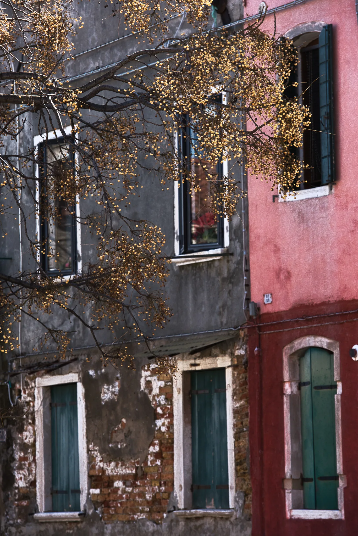 Venice building facades