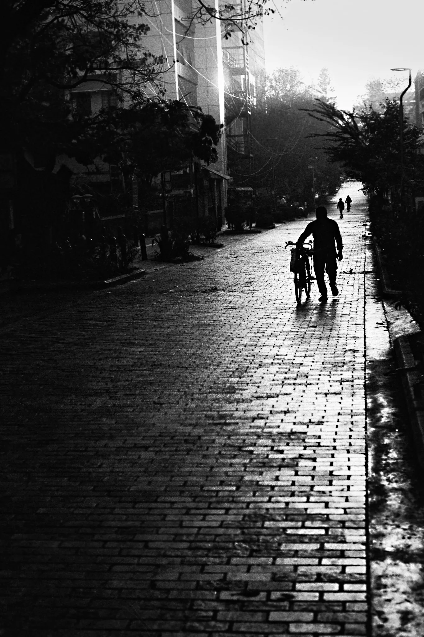 Still life composition