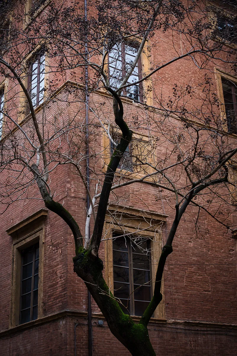 Landscape fine art photograph by Deepak Varghese