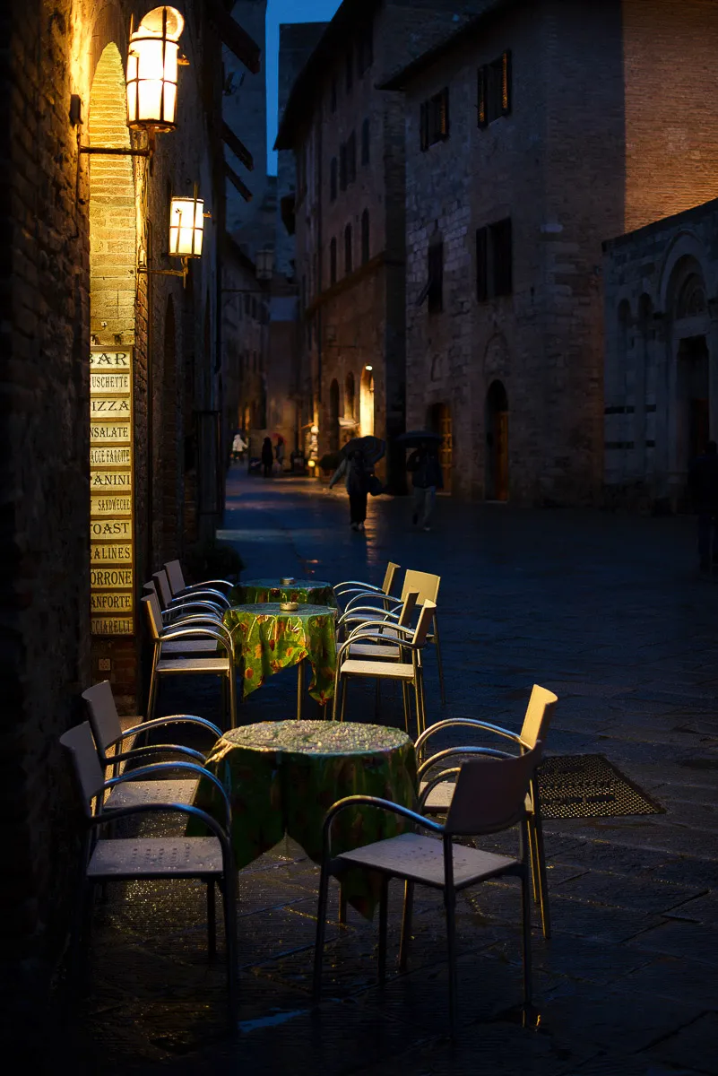 Fine art nature photograph with soft natural light