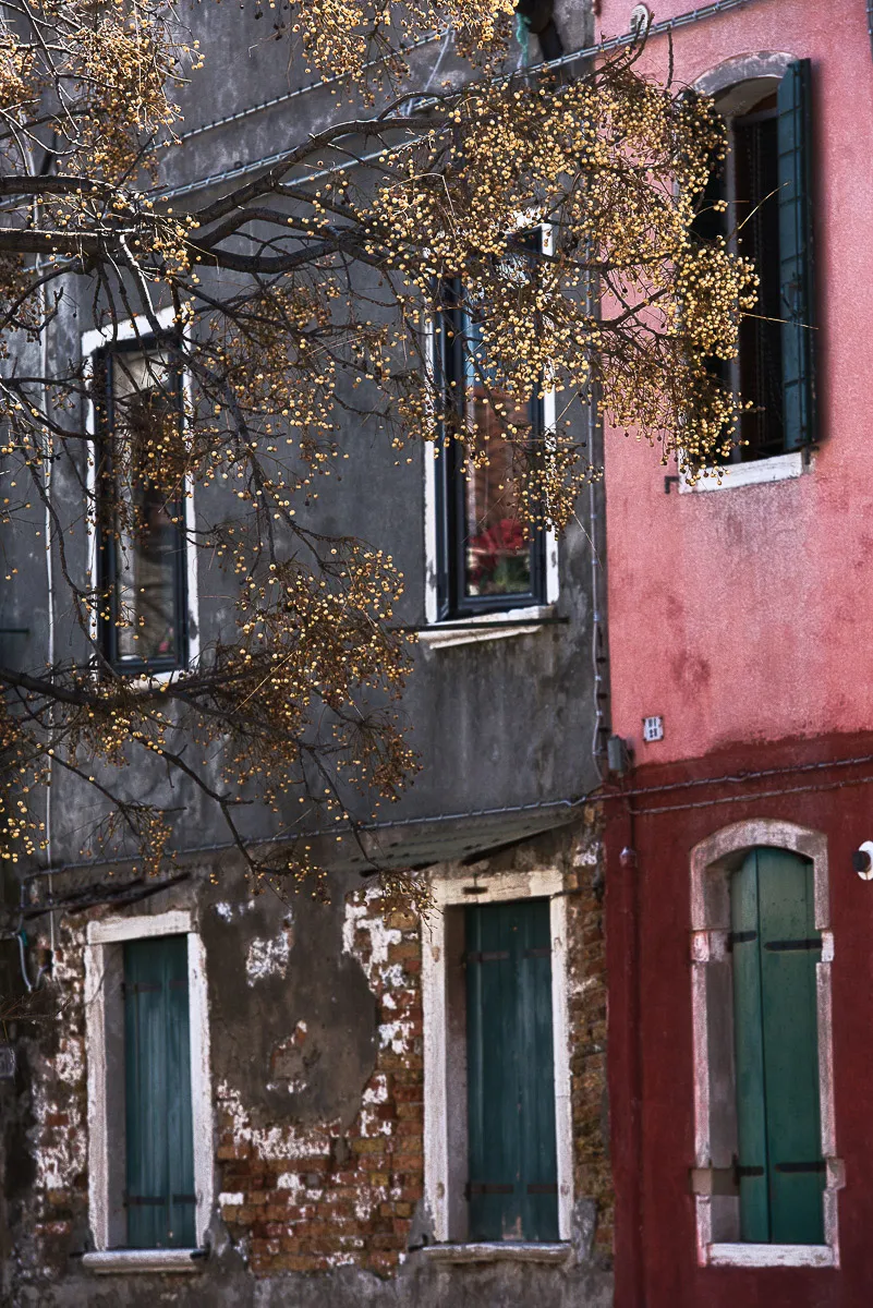 Minimalist landscape with still water reflection
